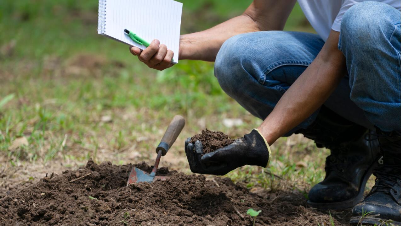 Bodenverbesserung: Tipps für einen gesunden Boden