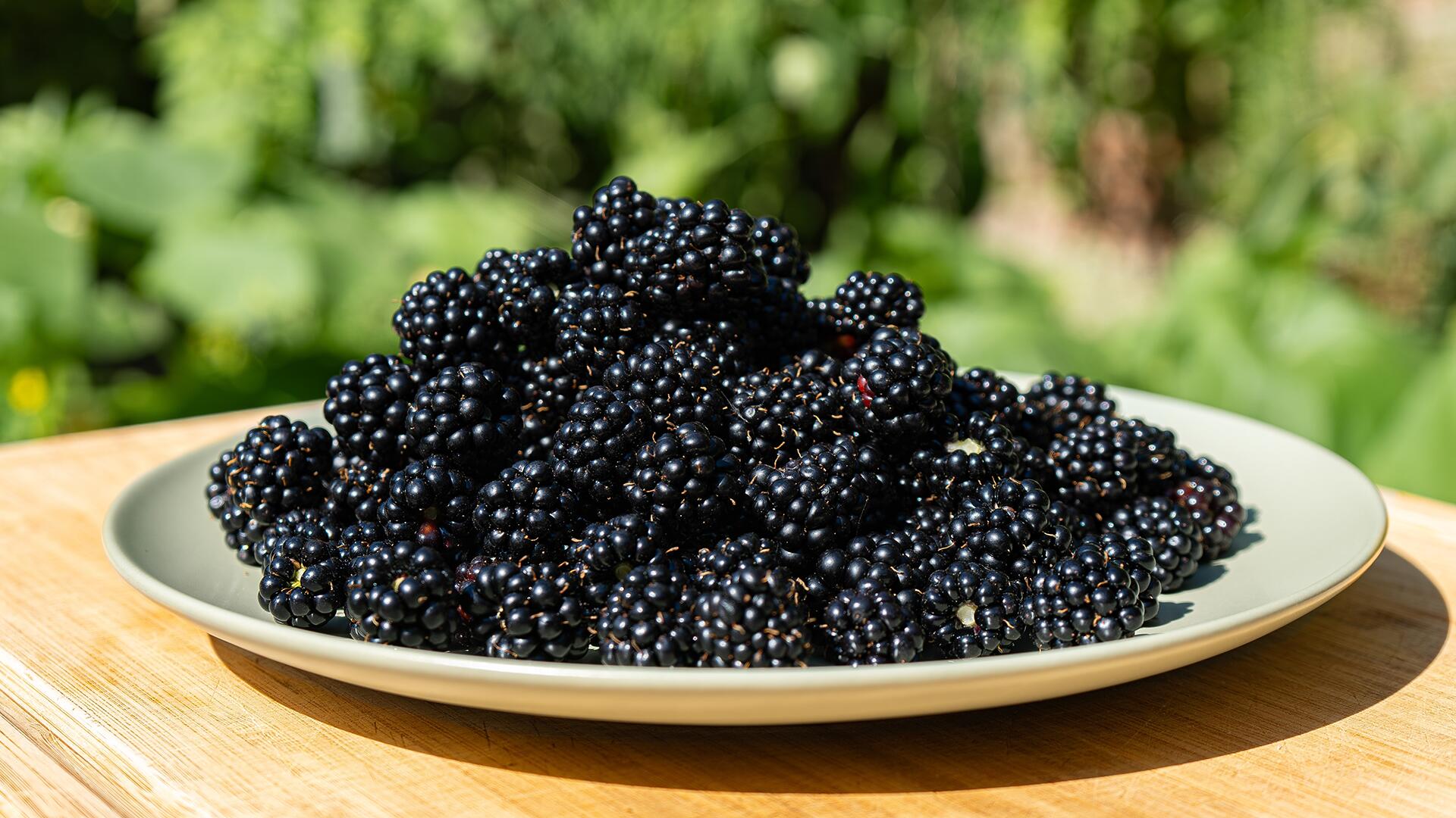 Brombeeren punkten mit vielen gesunden Inhaltsstoffen.