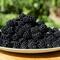 Wie gesund sind Brombeeren tatsächlich? Wie gesund sind Brombeeren tatsächlich?