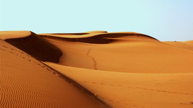 Desertifikation: Warum es so schwer ist, der Verwüstung entgegenzuwirken