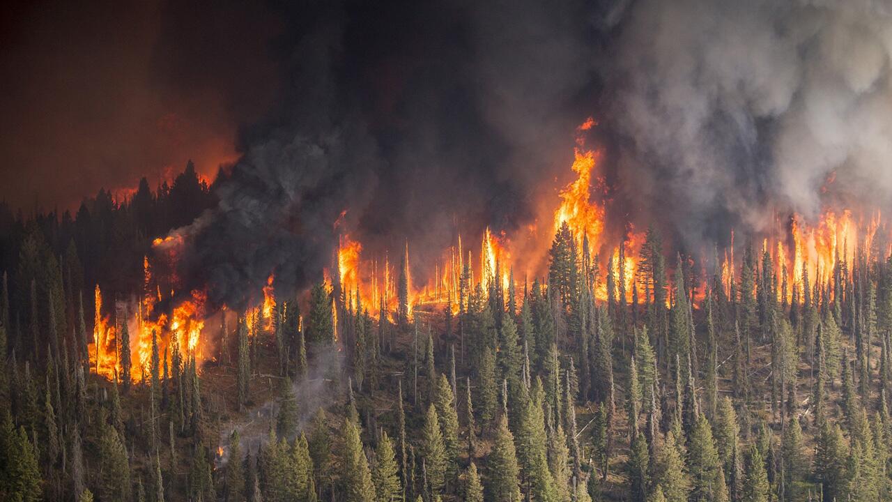 Die Flächenbrände in der Arktis haben große Auswirkungen auf unseren Planeten.
