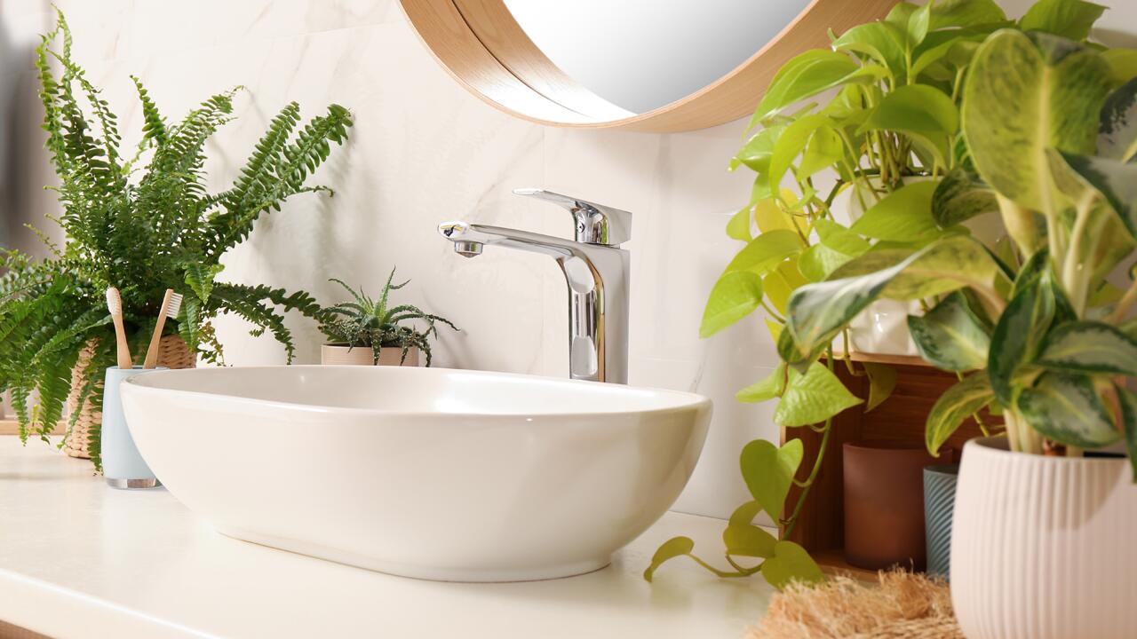Die besten Pflanzen fürs Bad – und wie Sie sie pflegen