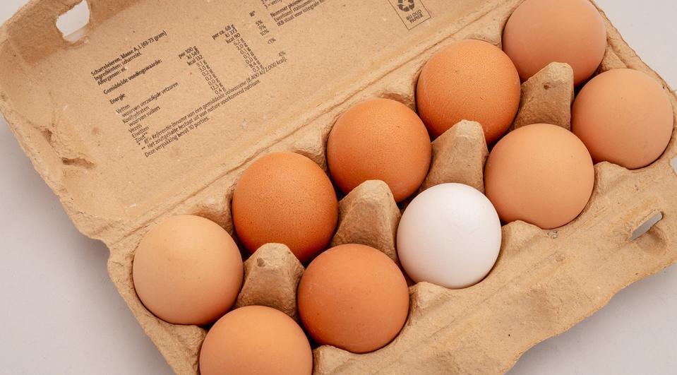Eier-Rückruf bei Edeka, Kaufland und Rewe – Entwarnung: keine Salmonellen Eier-Rückruf bei Edeka, Kaufland und Rewe – Entwarnung: keine Salmonellen