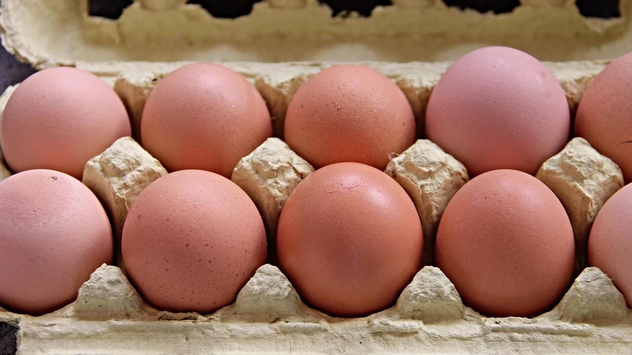 Eier-Rückruf wegen Salmonellen-Gefahr