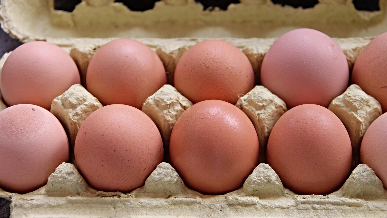 Eier-Rückruf wegen Salmonellen-Gefahr Eier-Rückruf wegen Salmonellen-Gefahr