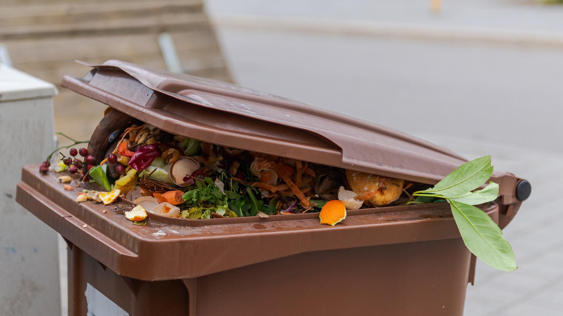 Eigentlich gehört Papier nicht in den Biomüll. Es gibt aber Ausnahmen. 