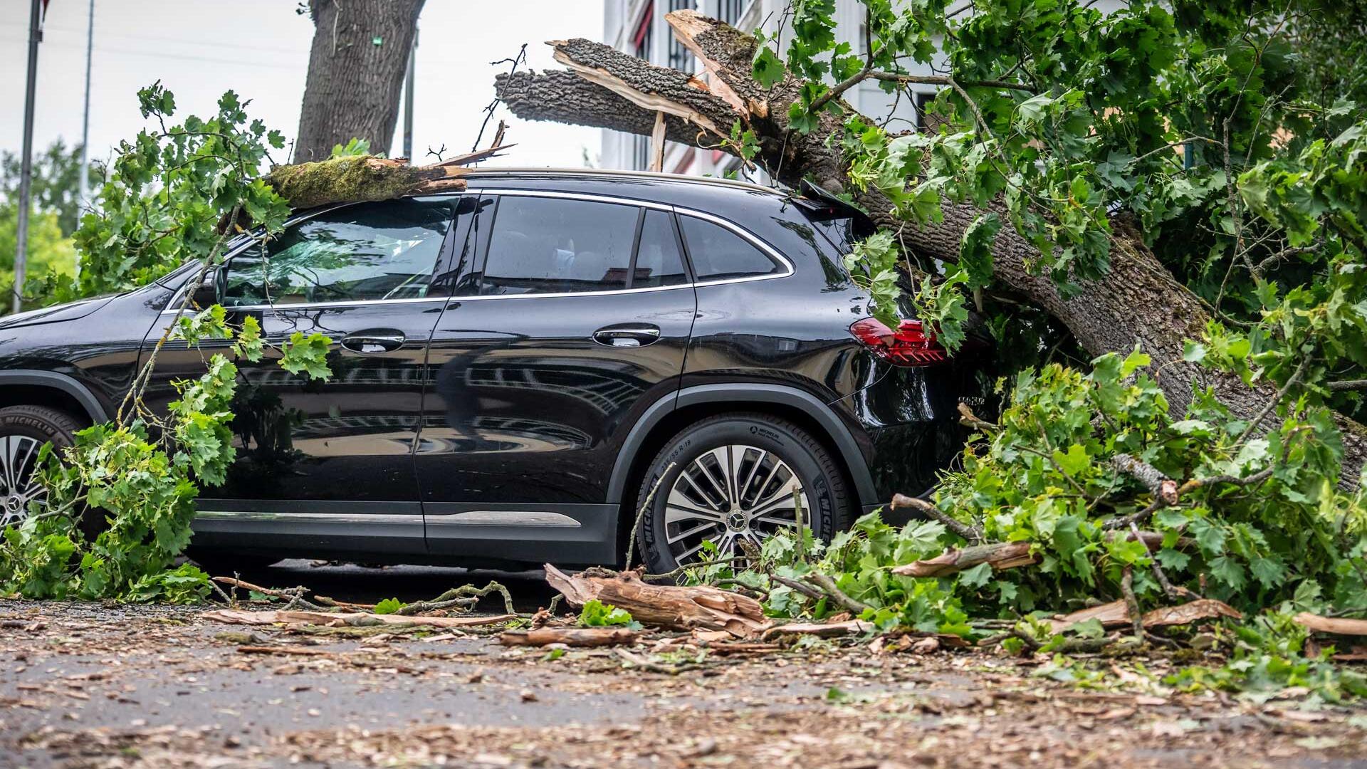 Ein vom Sturm abgebrochener Baum liegt auf einem Auto im Westen Berlins. Ein Sturm hat zu zahlreichen Schäden in der Hauptstadt geführt. Eine Frau starb. 