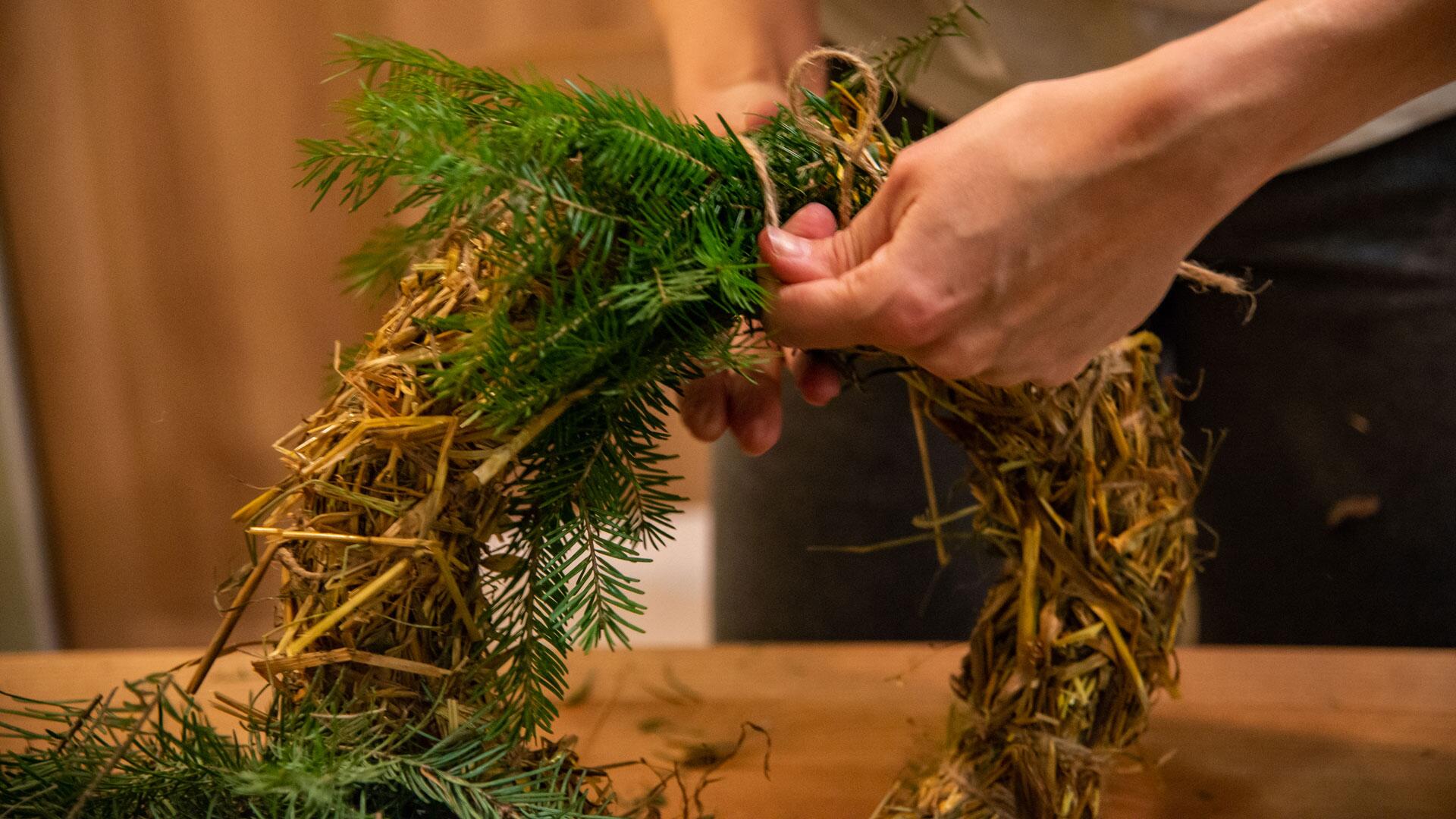 Adventskranz selber machen – Schritt für Schritt zum Weihnachtsklassiker