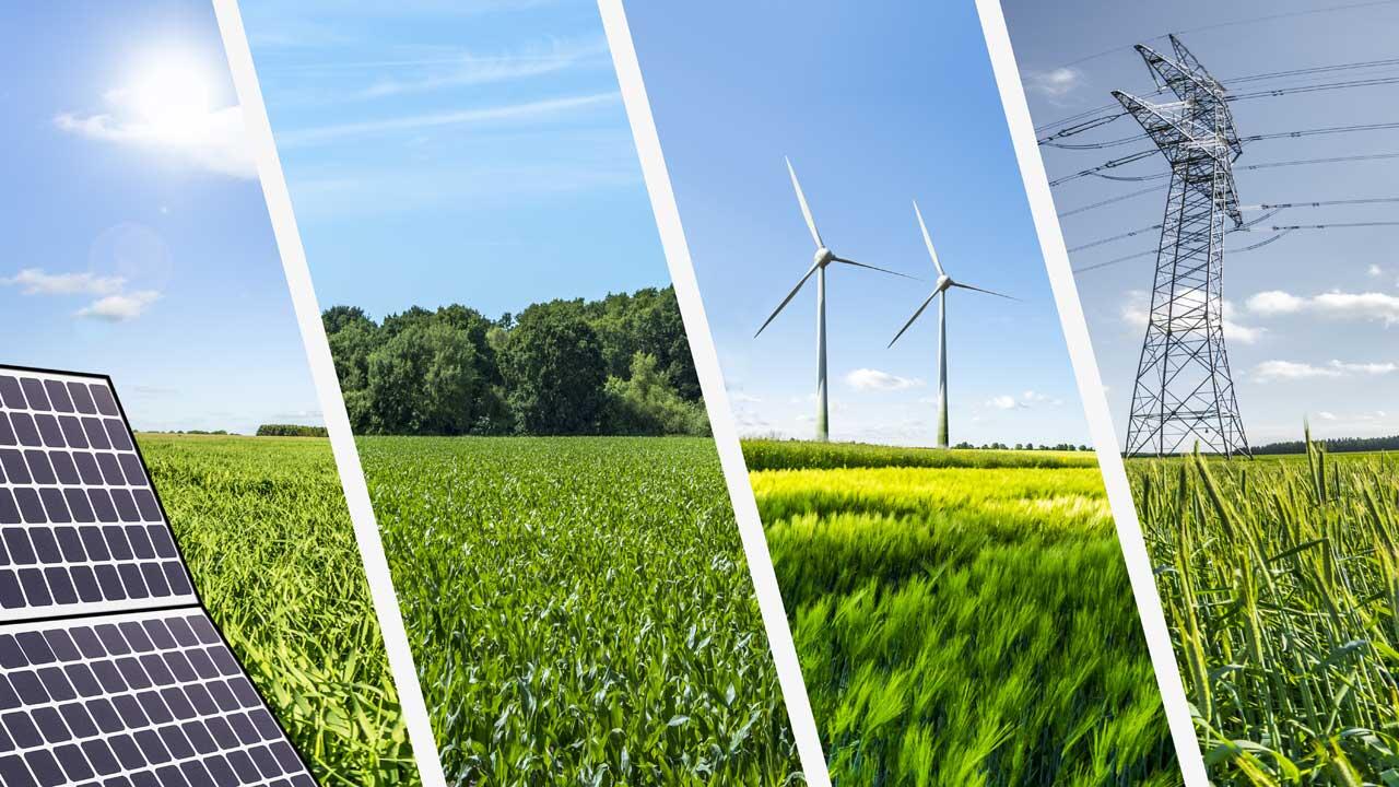 Erneuerbare Energien: Solarenergie, Windenergie und Bio-Gas unter der Lupe