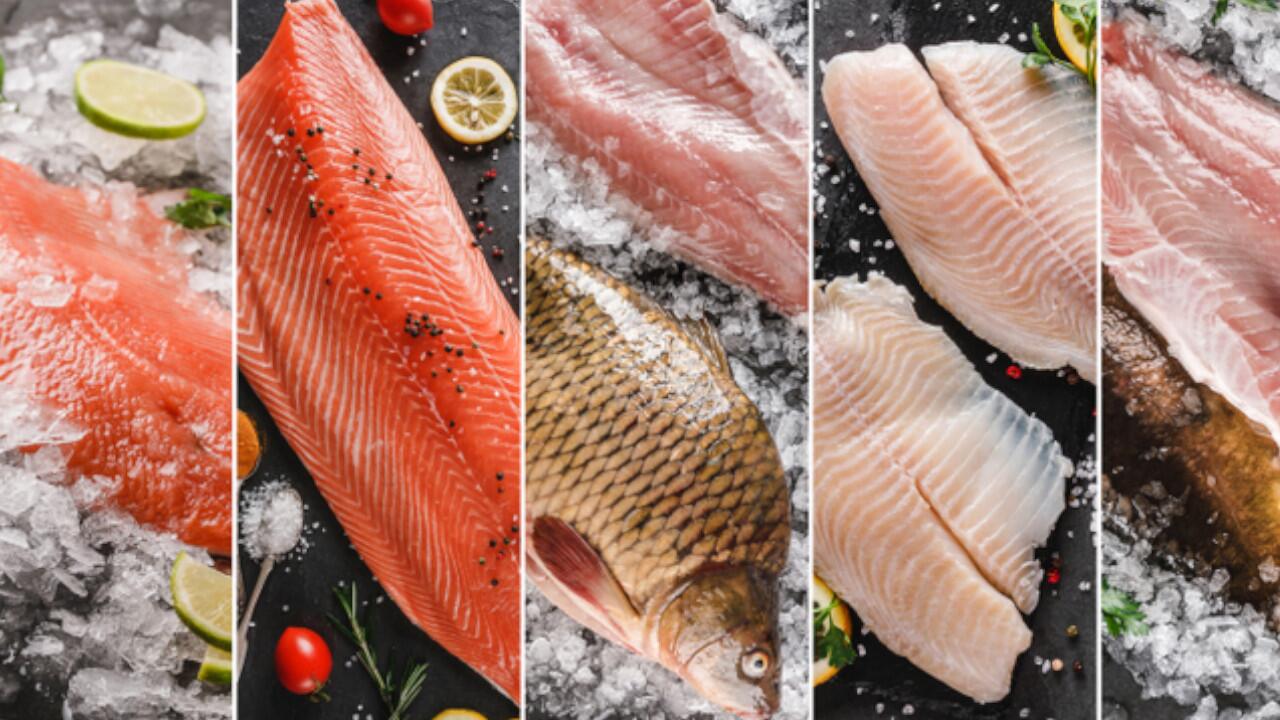 Fisch besitzt viele wertvolle Nährstoffe, bei rohem Fisch sollten Sie allerdings vorsichtig sein.
