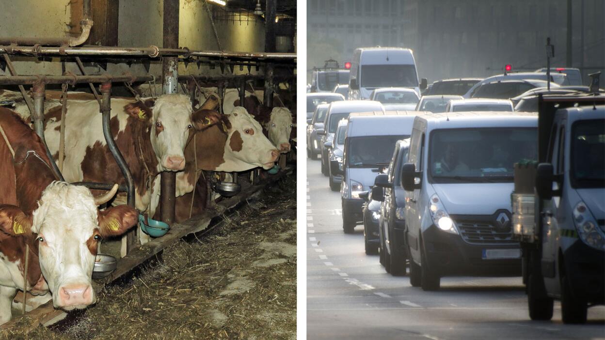 Fleischverbote statt Fahrverbote? Landwirtschaft laut Studie der größte Feinstaub-Verursacher 