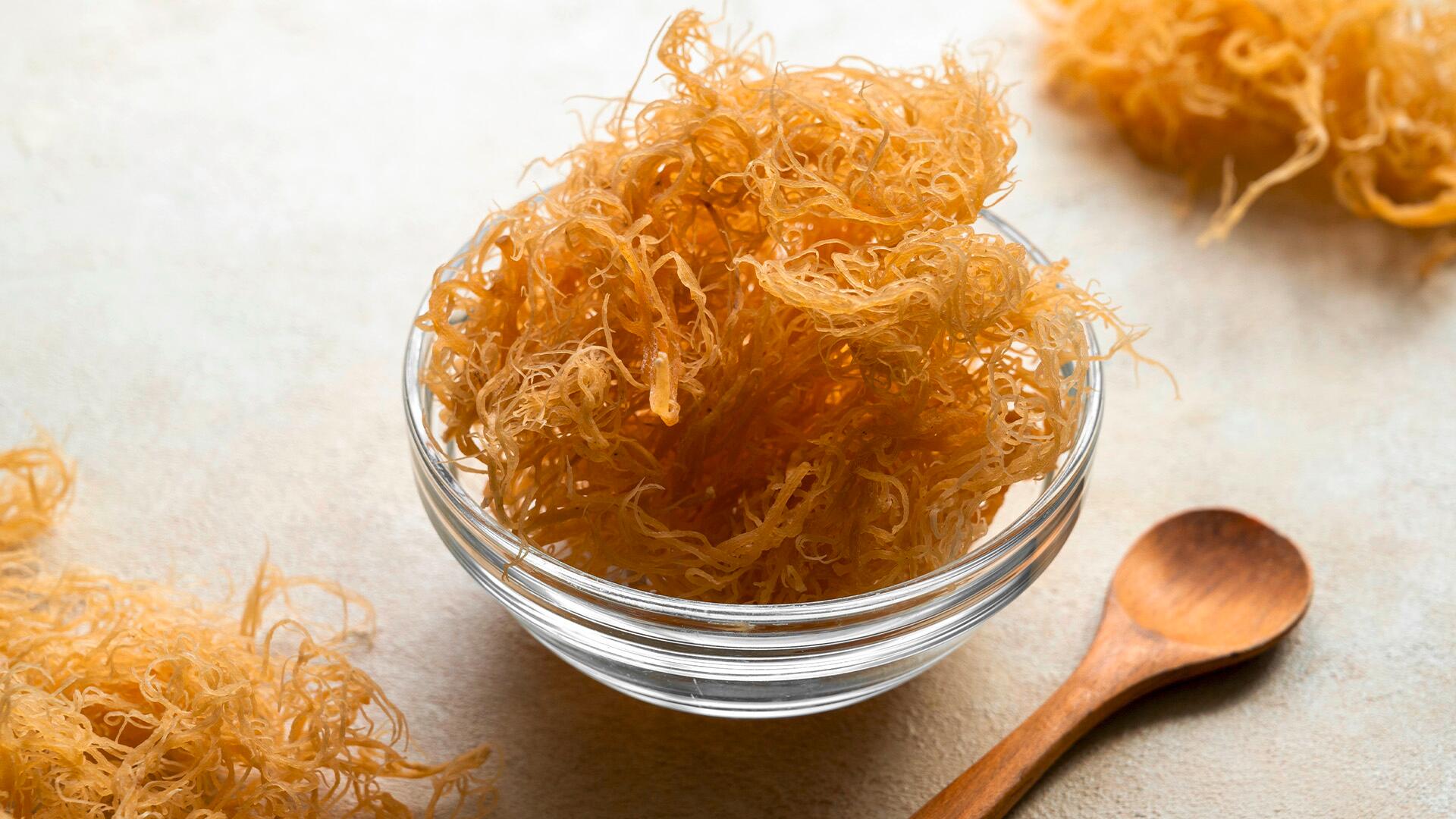 Foodtrend Sea Moss: Nährstoffreich – und dennoch nicht unbedenklich