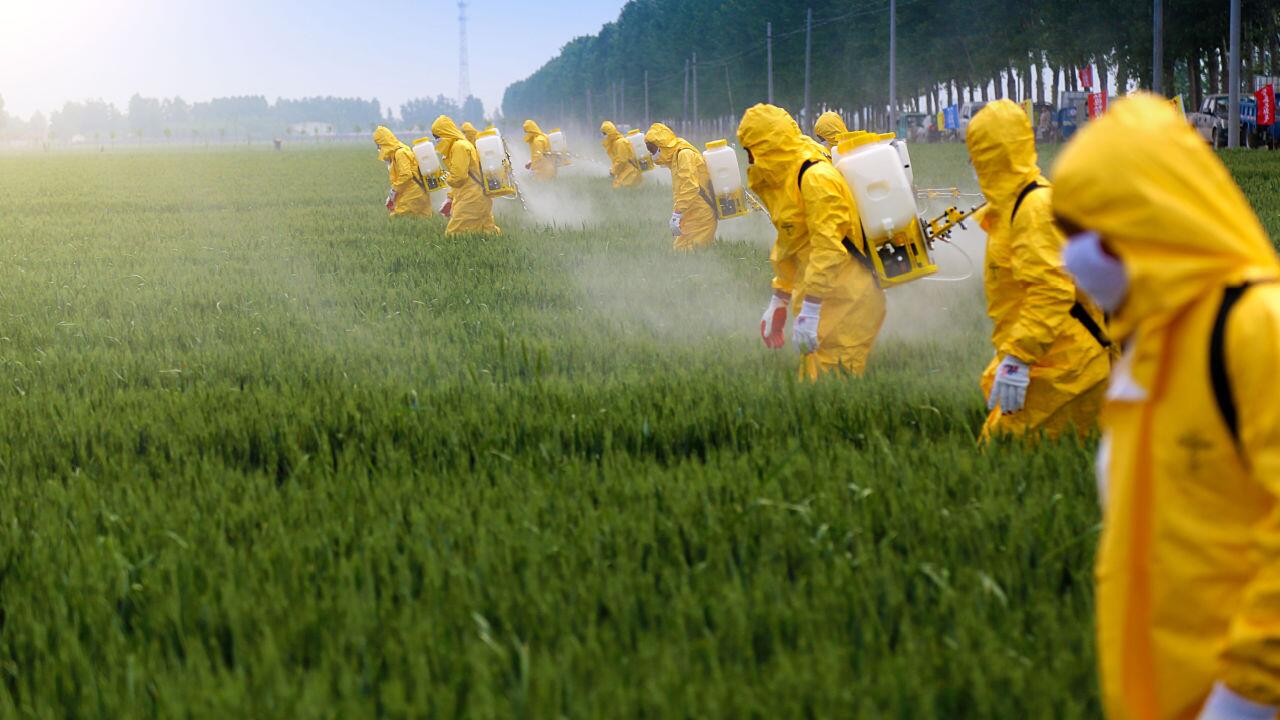 Foodwatch: Viele Pestizid-Zulassungen ohne Risikoprüfung verlängert 