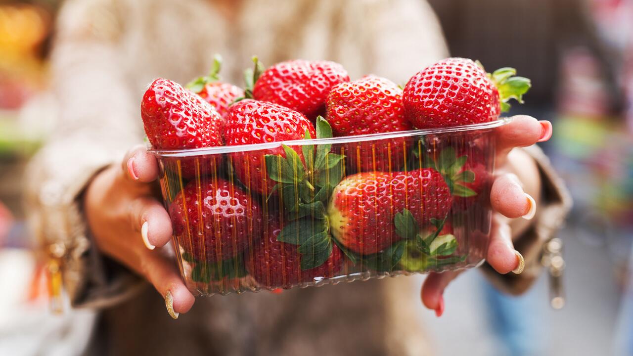 Früherdbeeren sind eine Gefahr für die Umwelt, Sie sollten Sie besser nicht kaufen.