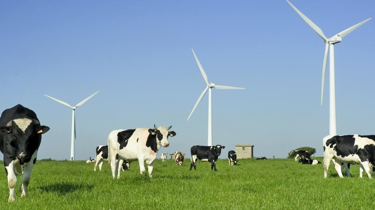 Für Erreichen der EU-Klimaziele laut Beirat mehr Anstrengungen nötig 