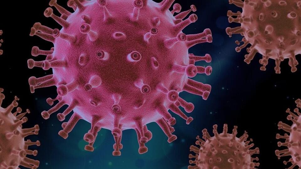 G4-Virus: Droht nach der Corona-Krise bereits die nächste Pandemie?