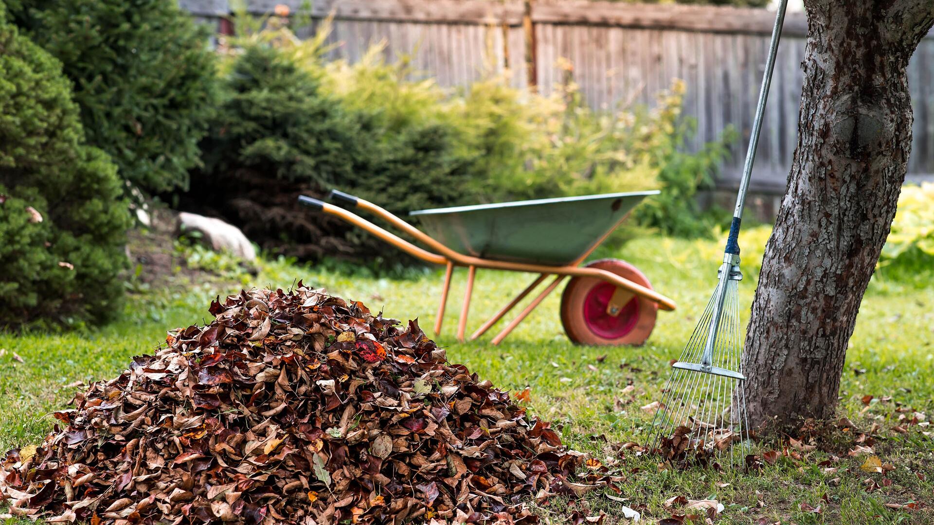 Garten winterfest machen: Was Sie vor dem Winter noch erledigen sollten Garten winterfest machen: Was Sie vor dem Winter noch erledigen sollten