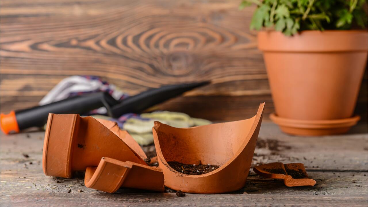 Kaputte Pflanzentöpfe und altes Garten-Zubehör: Nicht alles ist Restmüll Kaputte Pflanzentöpfe und altes Garten-Zubehör: Nicht alles ist Restmüll