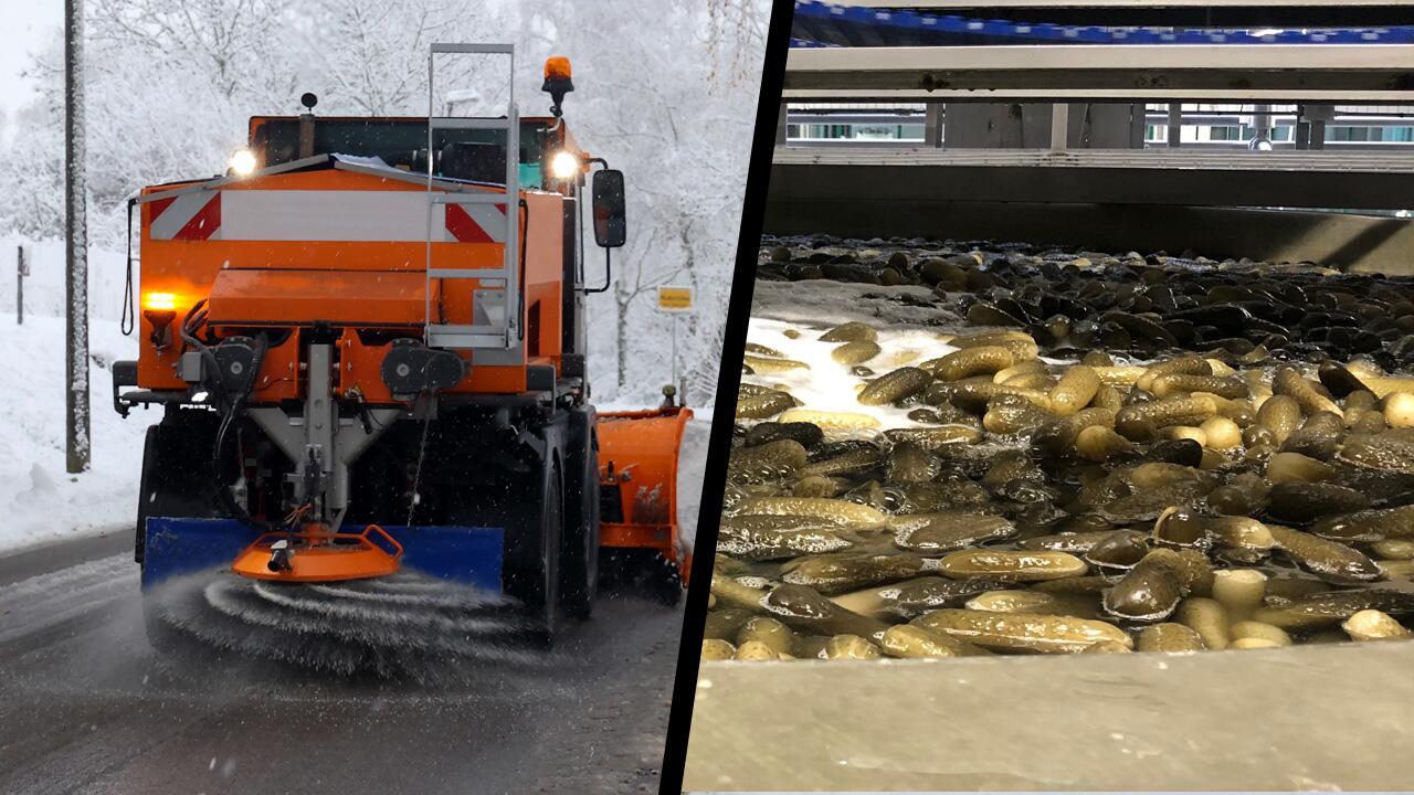 Gegen Schnee und Glätte auf Straßen helfen Streusalz und Sand - oder möglicherweise zukünftig auch Gurkenwasser.