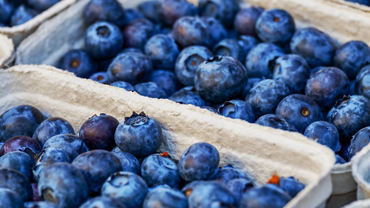 Heidelbeeren haben im August Saison