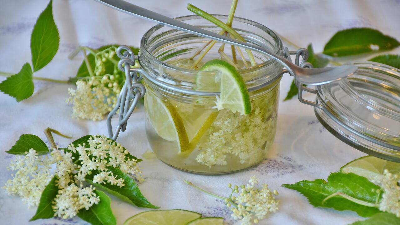 Holunderblütensirup selber machen: ein einfaches und schnelles Rezept