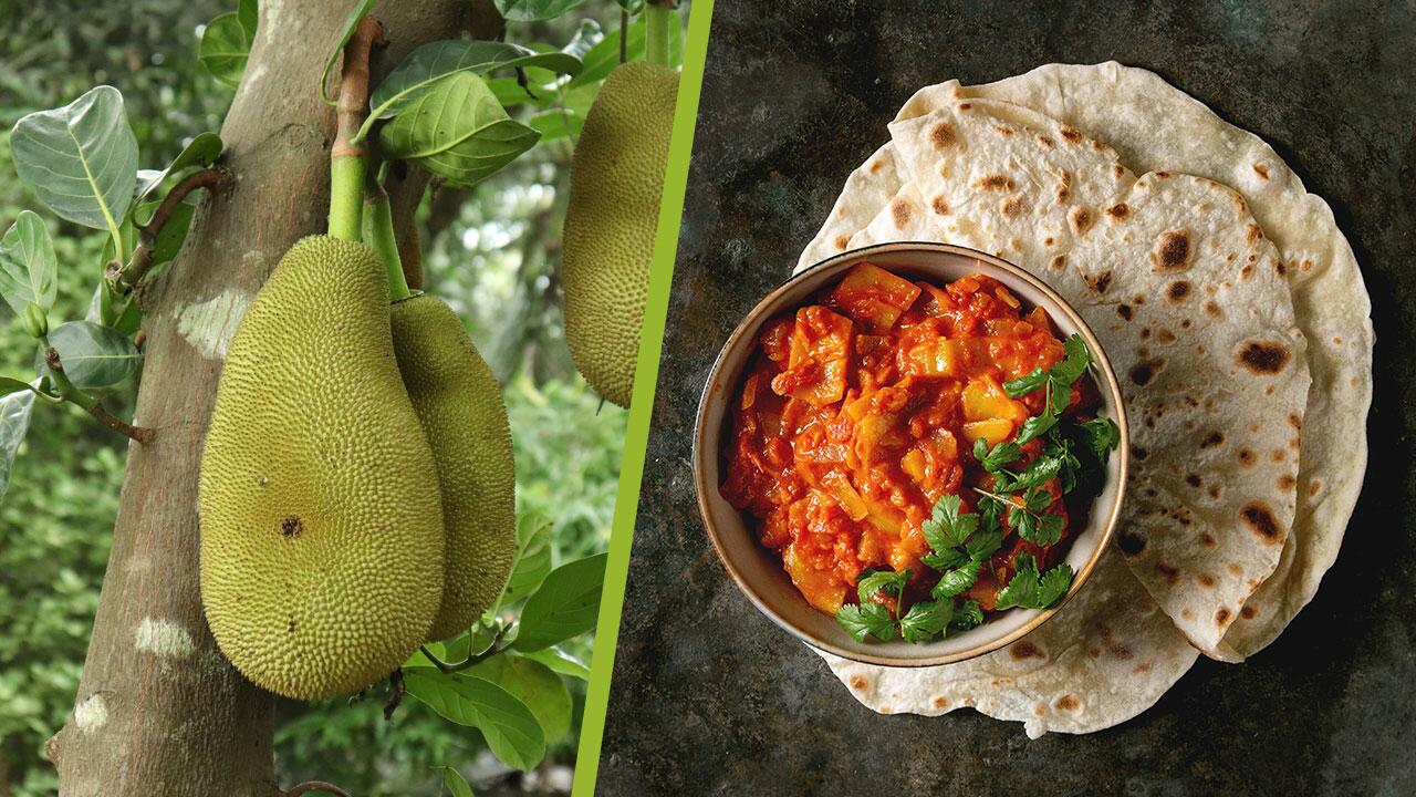 Jackfruits sind Fleischersatz für Vegetarier und Veganer