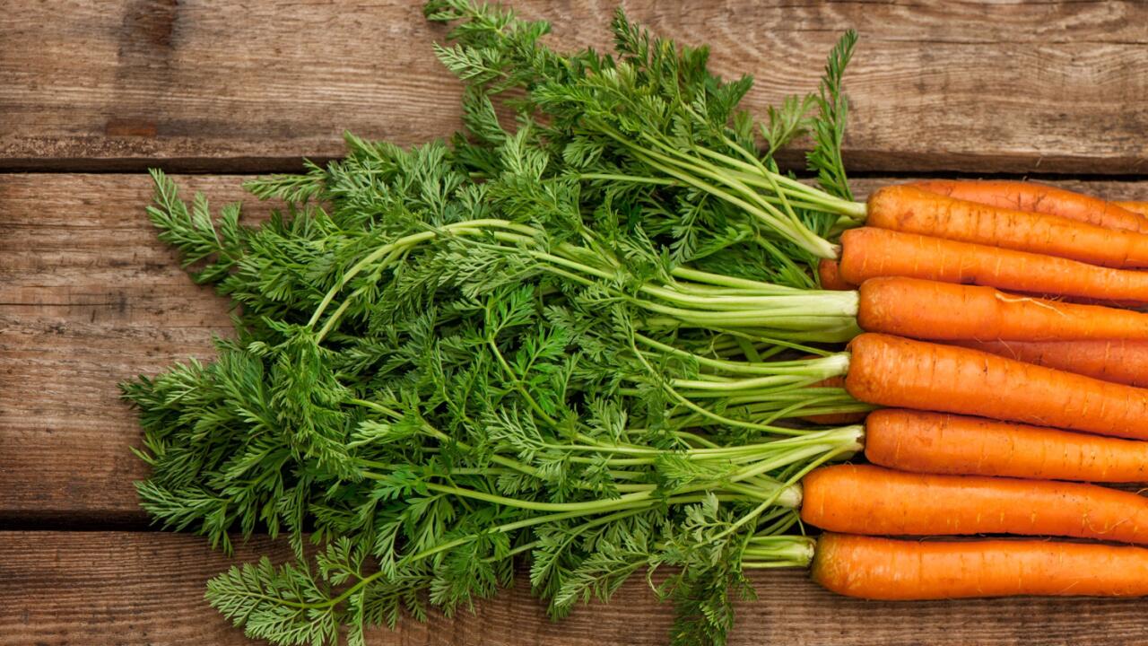 Karottengrün ist viel zu schade zum Wegwerfen, Sie können es auf verschiedene Arten recyceln.