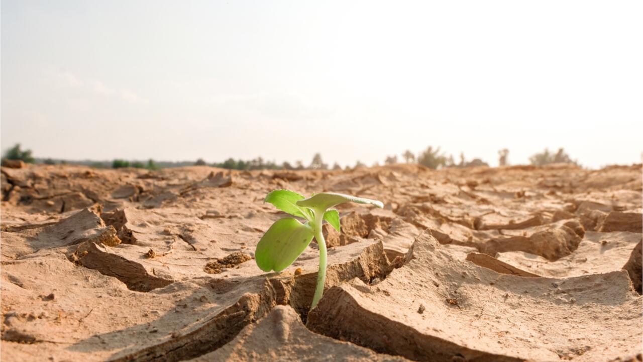 Klimaforscher: Regen nach Hitze vertreibt Dürre nicht Klimaforscher: Regen nach Hitze vertreibt Dürre nicht