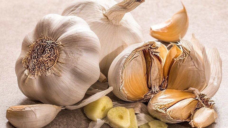 Knoblauch ist sehr gesund – der Geruch nach dem Essen aber oft unangenehm.