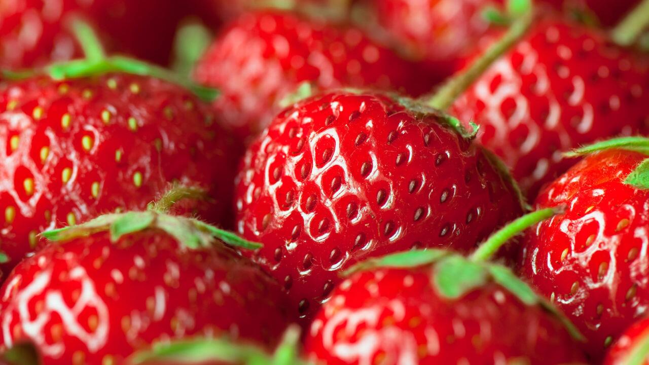 Kurioses Wissen: Sind Erdbeeren Nüsse?