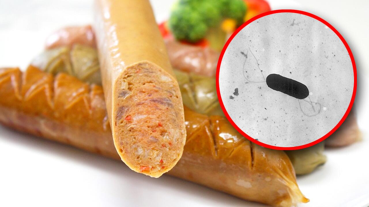 Listeria-Bakterium (vergrößert, rechts): So können Sie sich schützen