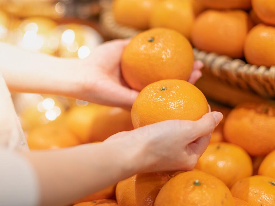 Mandarine, Clementine oder Apfelsine? Das sind die Unterschiede - ÖKO-TEST