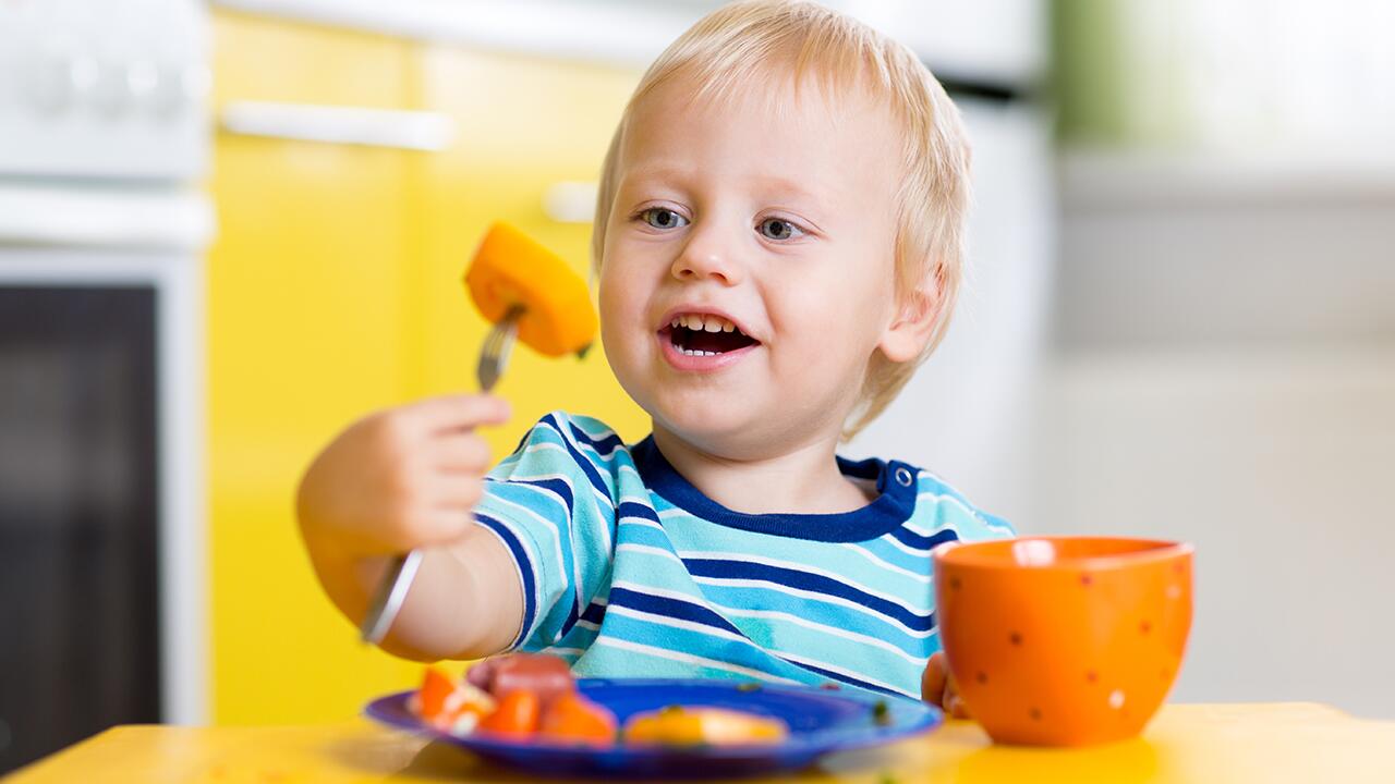 Melamingeschirr für Kinder im Test 