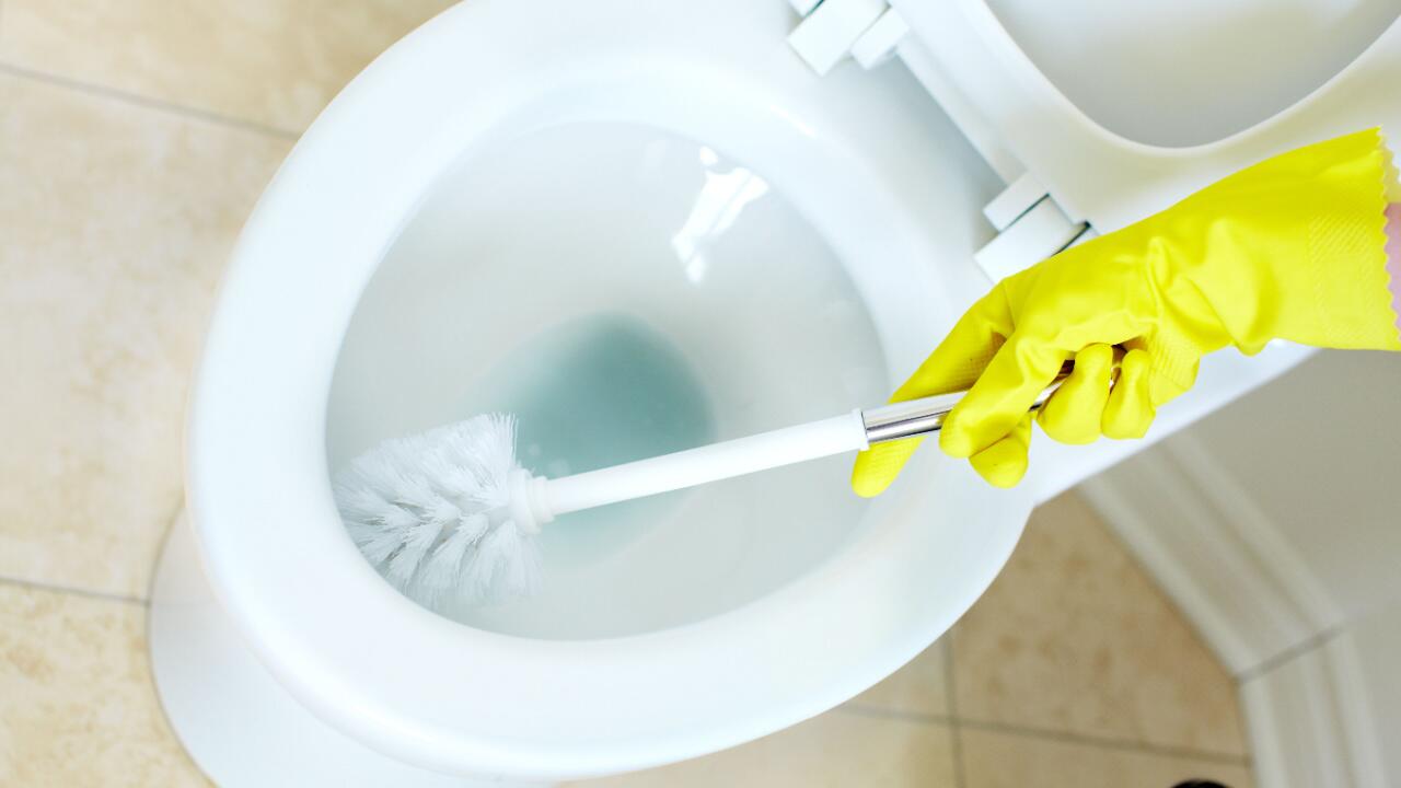 Mit Hausmitteln können Sie die Toilette günstig und umweltschonend reinigen.