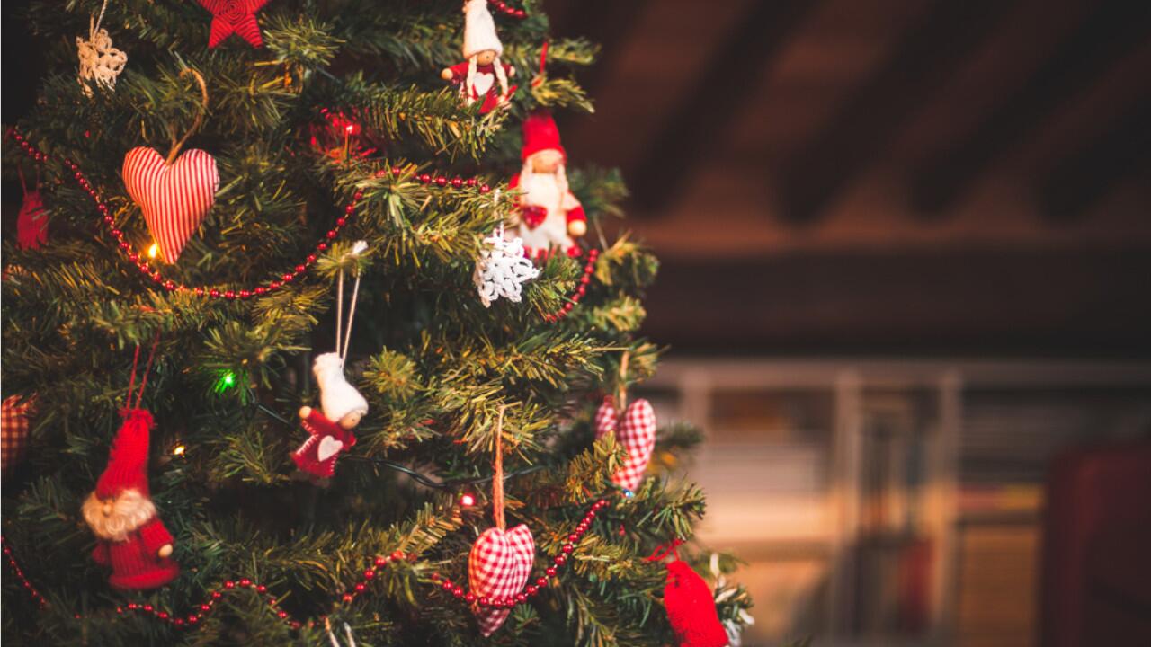 Mit diesen Tipps bleibt Ihr Weihnachtsbaum länger frisch und nadelt nicht.