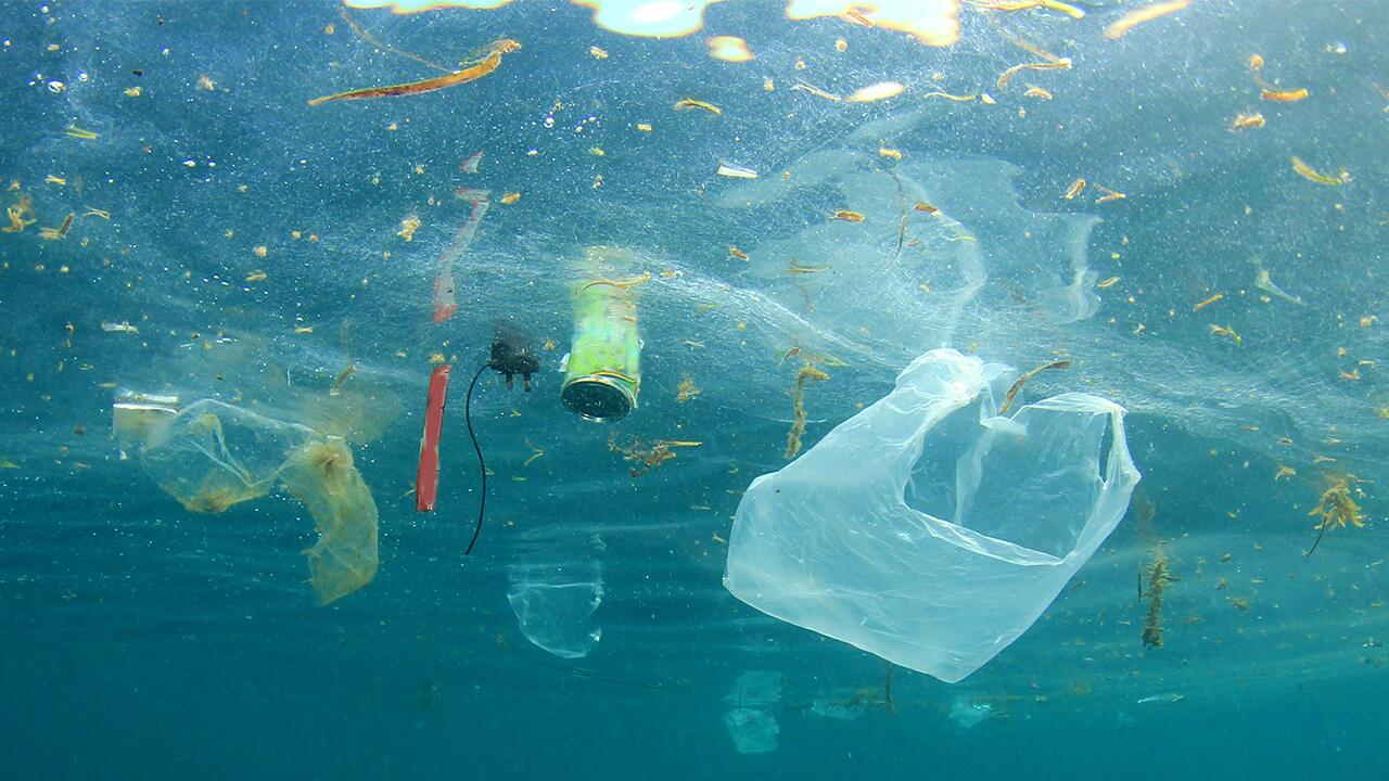 Müllhalde Meer: Besorgniserregende Fakten und Zahlen über die Ozeane