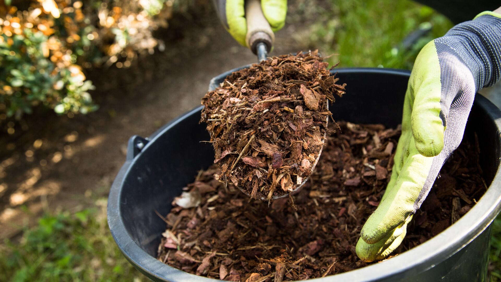 Warum Sie Ihren Garten jetzt im Frühling mulchen sollten