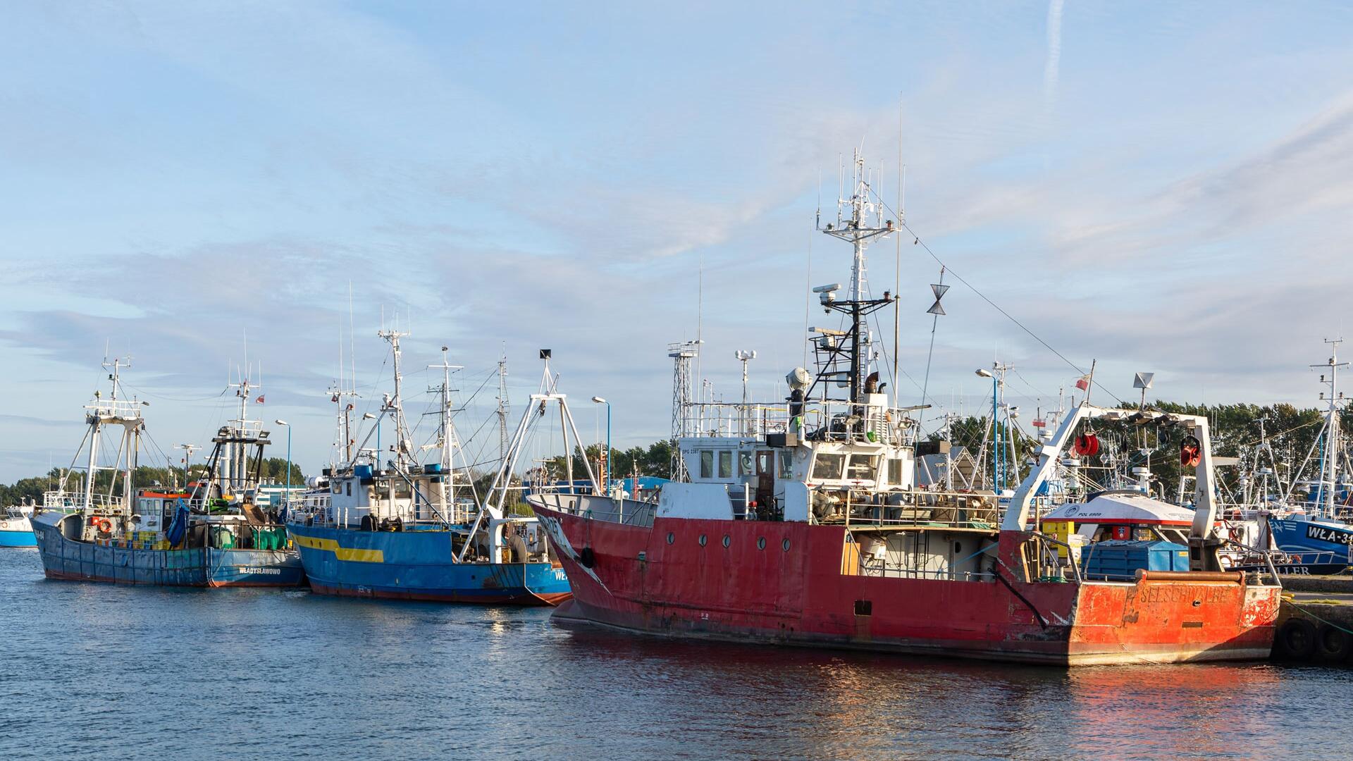 Ostsee in der Krise: Fischbestände schrumpfen – Fangmengen bleiben trotzdem hoch Ostsee in der Krise: Fischbestände schrumpfen – Fangmengen bleiben trotzdem hoch
