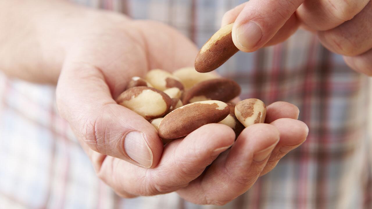 Paranüsse: Wie gesund sind die Nüsse wirklich?