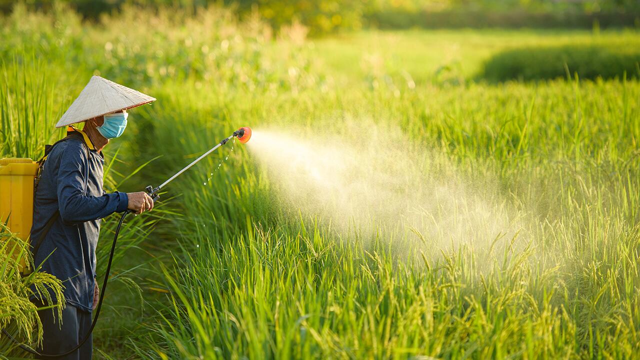 Pestizide gefährden Mensch und Umwelt. Vor allem für die Menschen im globalen Süden stellen sie eine große Gefahr dar.