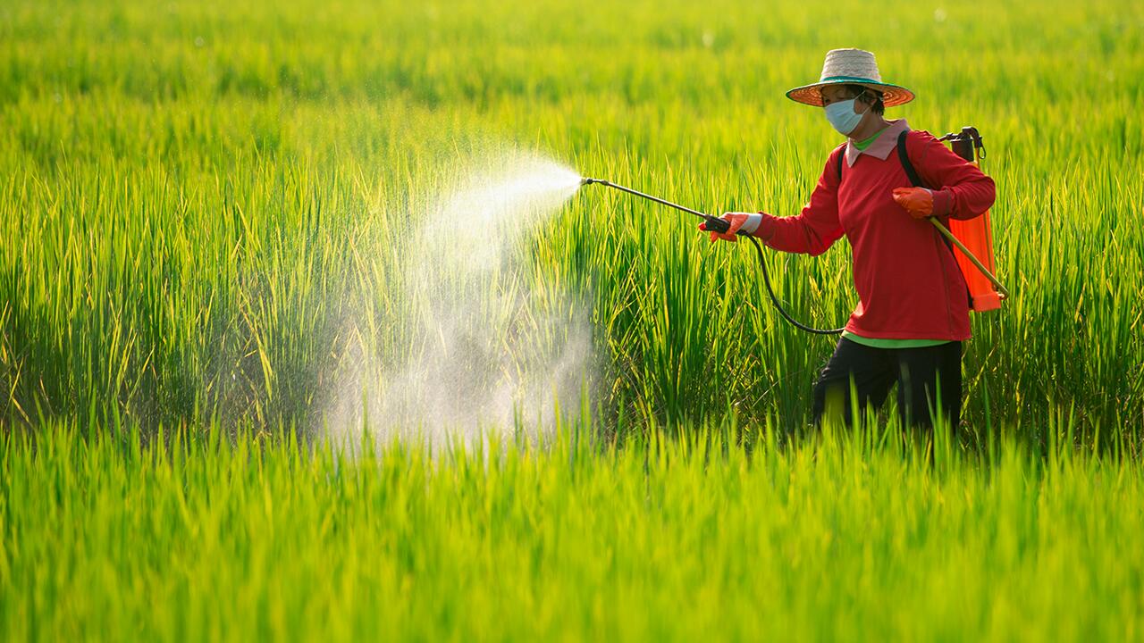Pestizide: Risiko für Mensch und Umwelt