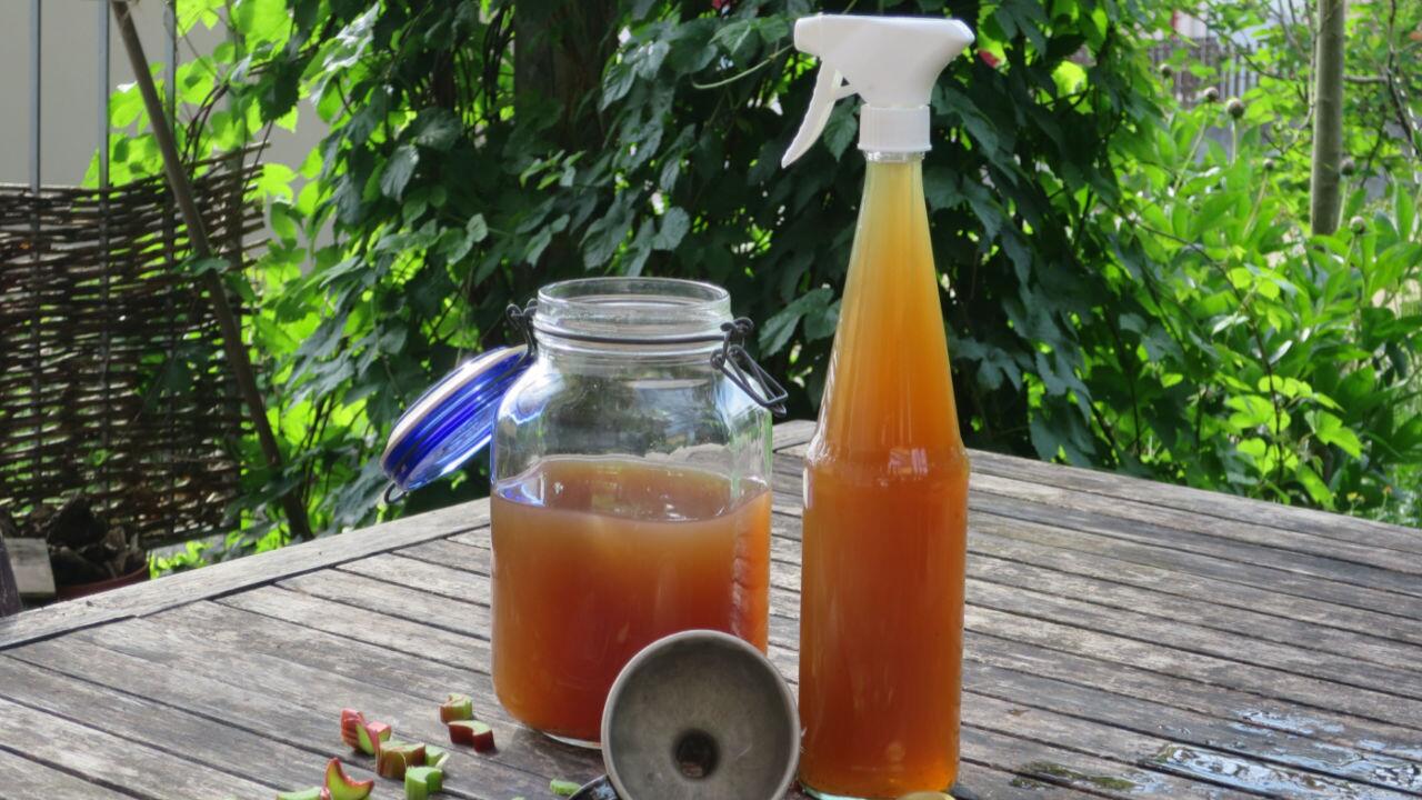 Pflanzen mit natürlichen Mitteln stärken