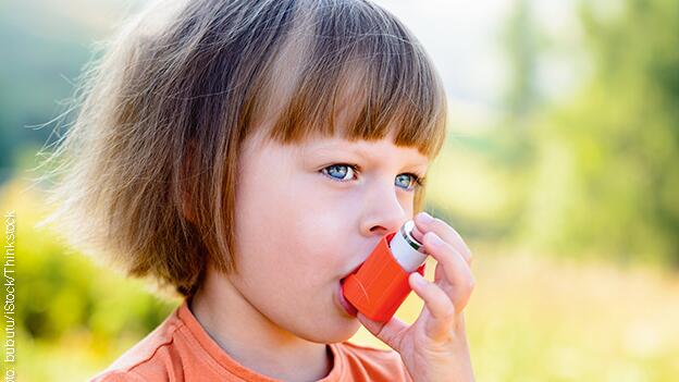 Phthalate erhöhen Allergierisiko