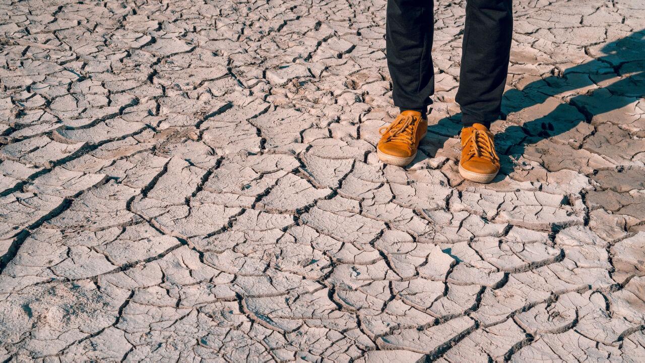 RKI-Bericht: "Klimawandel größte Herausforderung für die Menschheit"