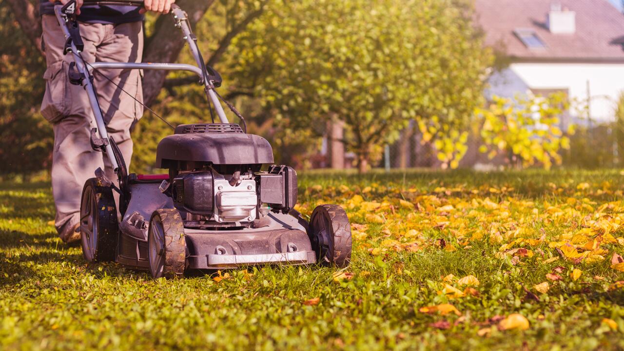 Rasenmähen im Herbst: Wann ist der richtige Zeitpunkt fürs letzte Mal Mähen?