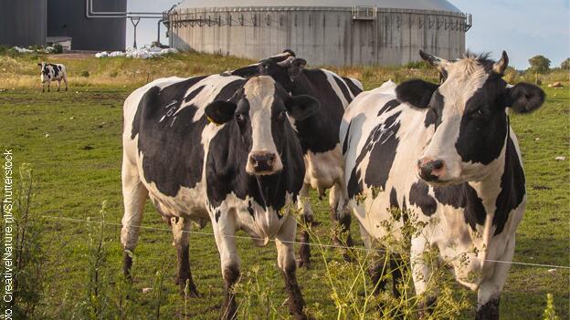 Reaktionen: Aldi Nord Milsani Schlagsahne