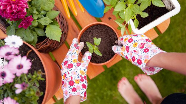 Reaktionen: Hornbach Torq Soft Klassischer Gartenhandschuh