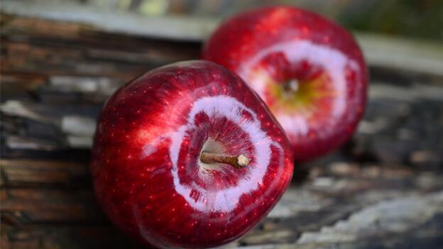 Reaktionen: Real Quality Apfel Schorle