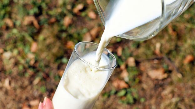 Reaktionen: Schwarzwaldmilch Frische Weidemilch