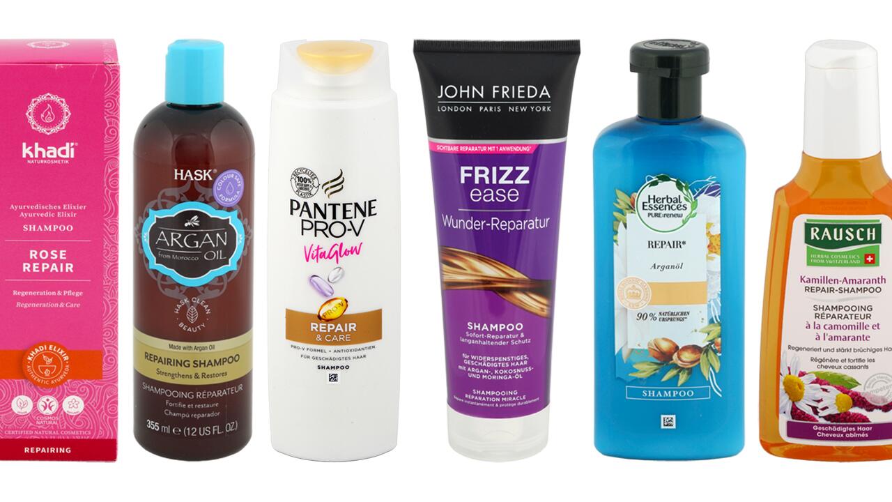 Repair-Shampoo im Test: Welche Shampoos sind am besten?